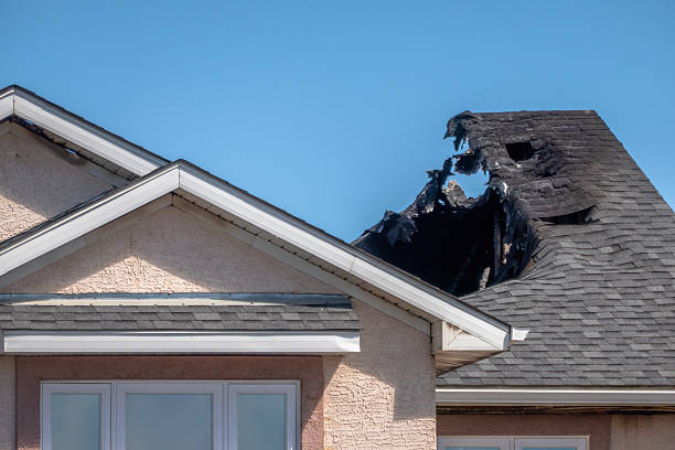 Top rated local Fire Damage Repair specialists in Lake Elmo, MN
